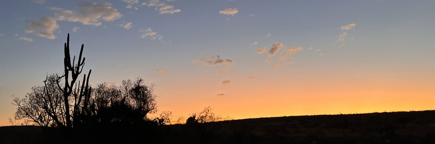PatiDiiaz's profile banner image