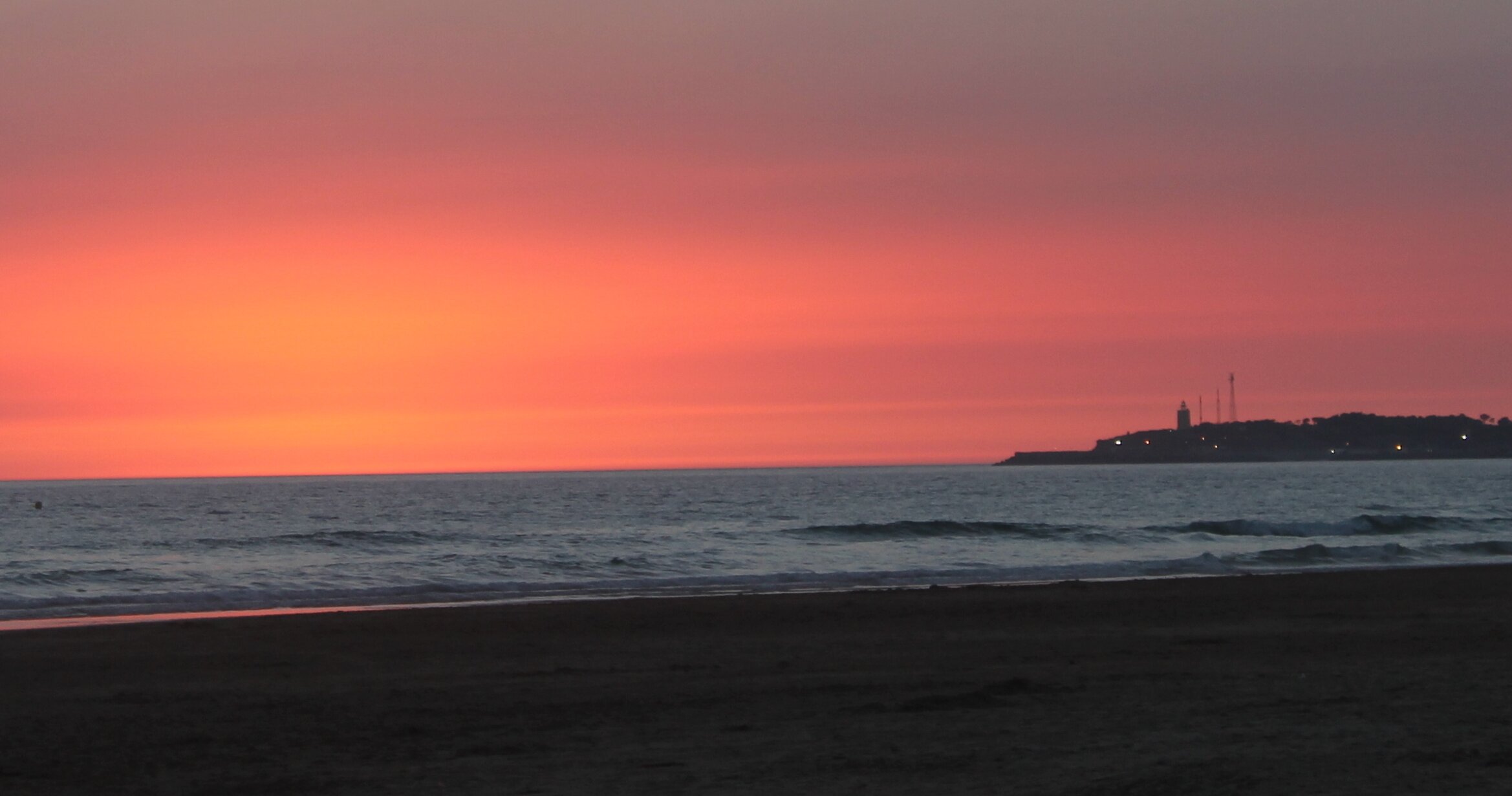Alba Dominguez banner