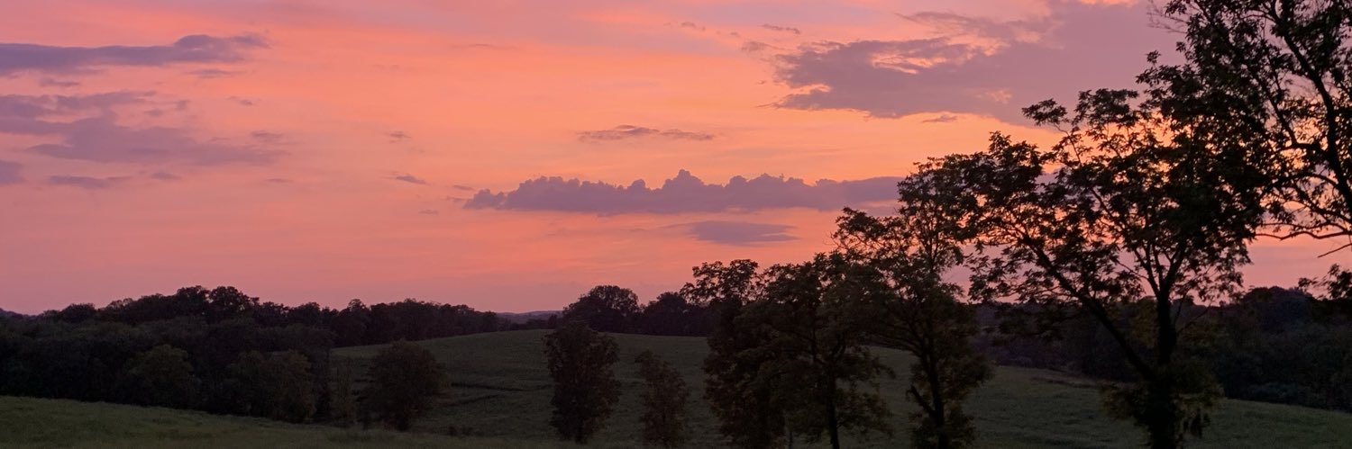 haleee__'s profile banner image