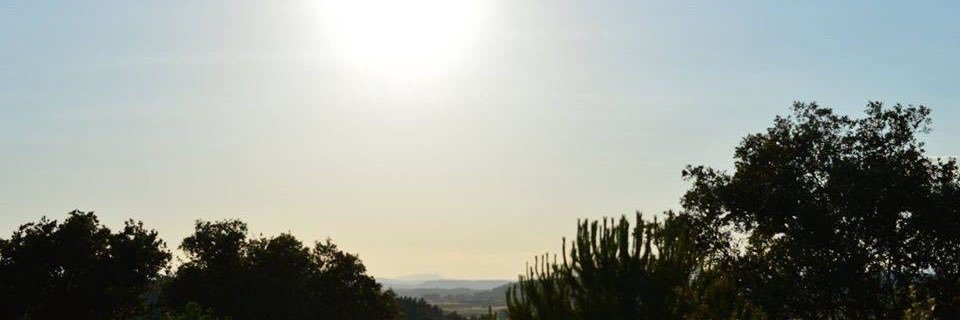 Abbiekillen4's profile banner image