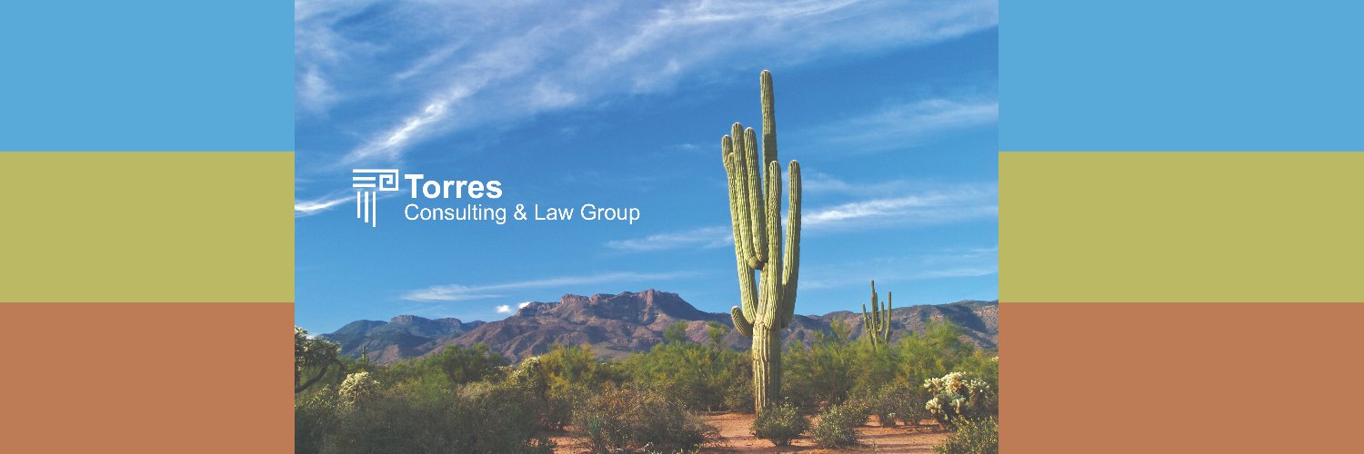 Torres Consulting banner