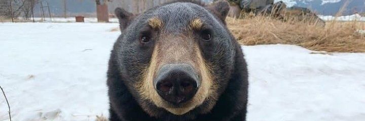 EdgarAllanDou's profile banner image