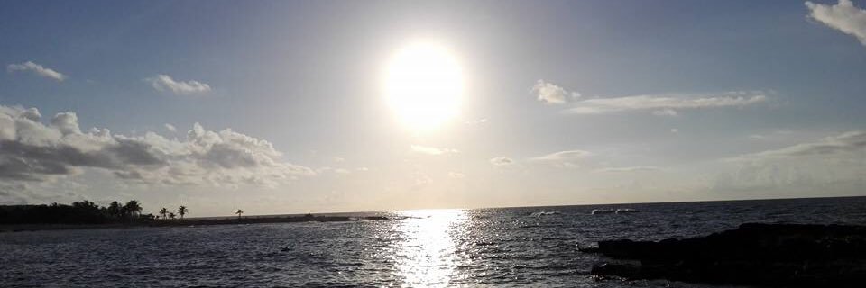 MariFSR's profile banner image