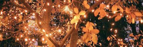 melodie_nell's profile banner image