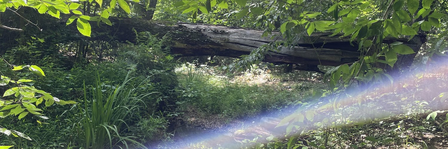 ginngasnapps's profile banner image