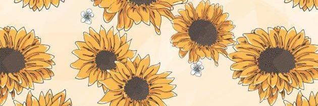Catimardones's profile banner image