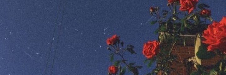 tsstea_'s profile banner image