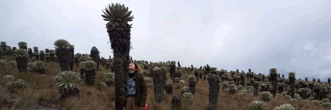 Loo__Rodriguez's profile banner image