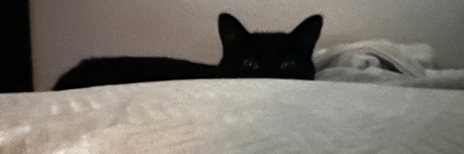 nicdybel's profile banner image