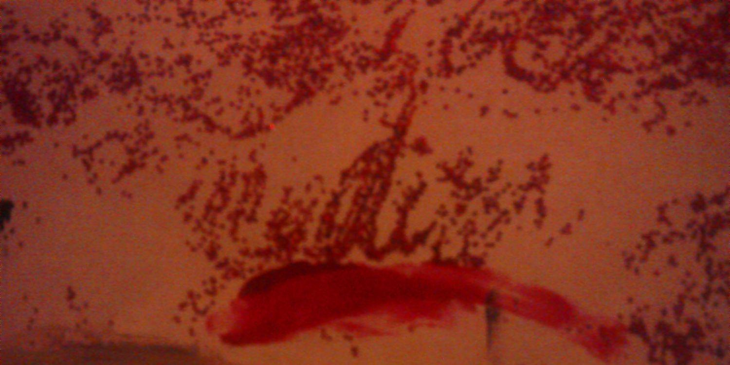 Yadi_APerson's profile banner image