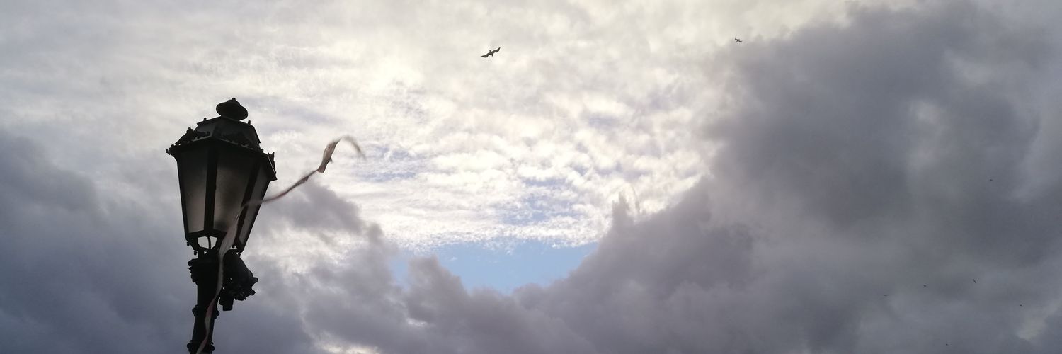 Claudio Vittorini banner