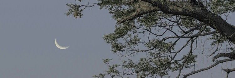 brookeboylan_'s profile banner image