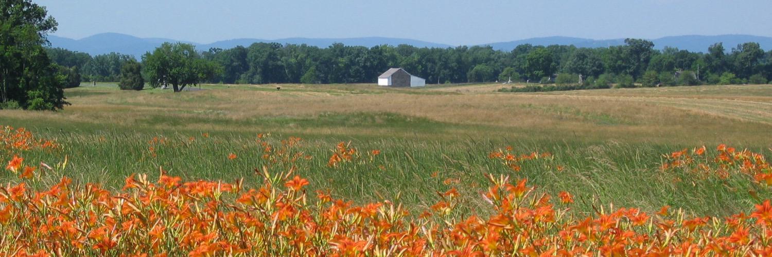 cindy314159's profile banner image