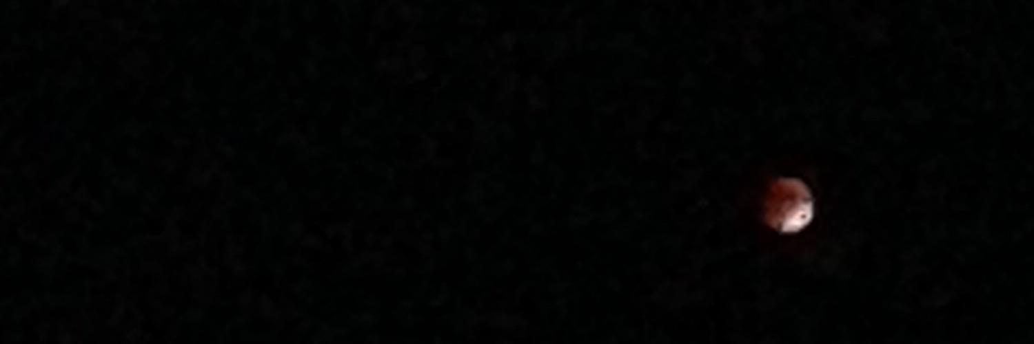 gloriachicklet's profile banner image