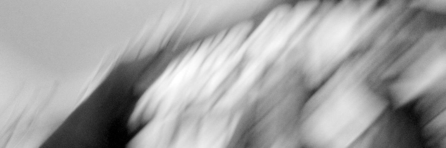 Michele Gobbo banner