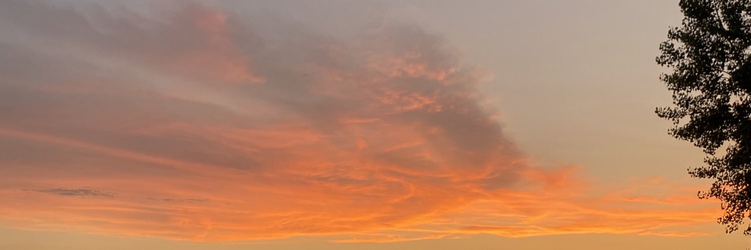 xonaysheli's profile banner image