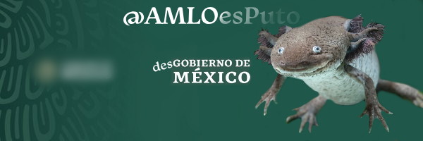 AMLOesPuto's profile banner image