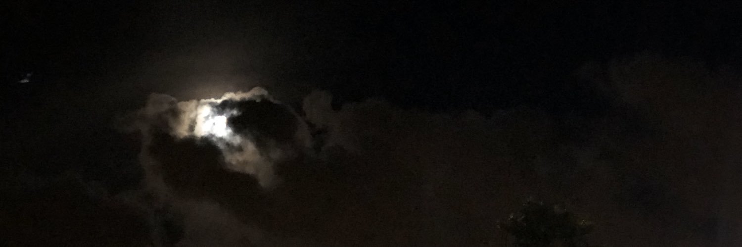 vulatile's profile banner image