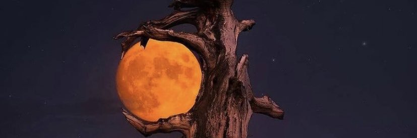 lawrencegodbolt's profile banner image