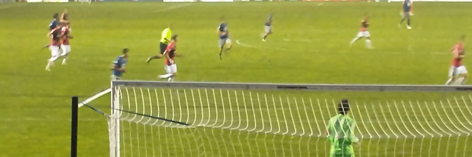 Peter Harrison banner