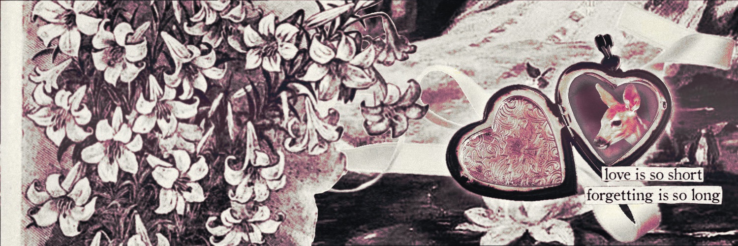 𖤓ᅠ ᅠ ᅠ ᅠ ᅠ ᅠ 𝑎𝗅𝗈𝗋𝖺． banner