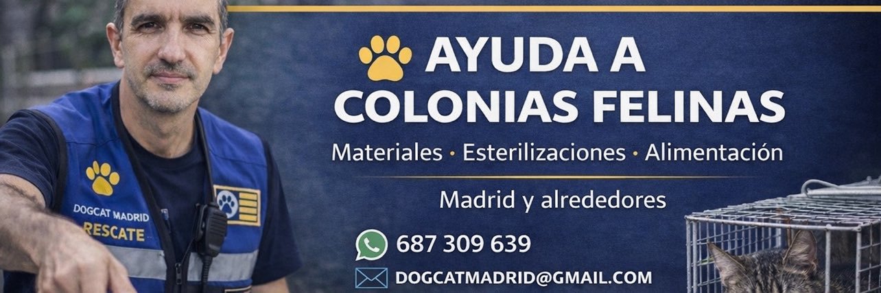 FER HIDALGO AYUDAS COLONIAS FELINAS 🐈🐈🐈 banner