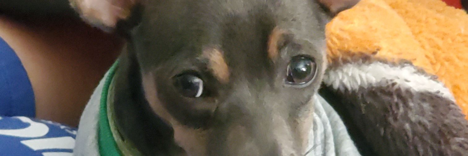 rockstarkimp's profile banner image