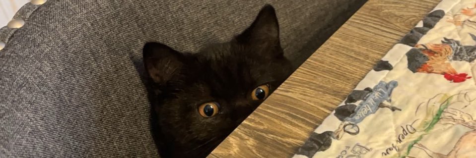 RykLano's profile banner image