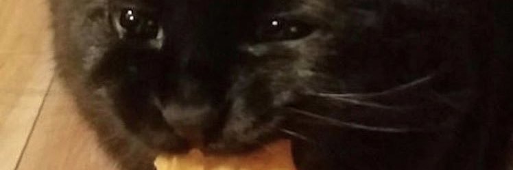 beefbawl banner