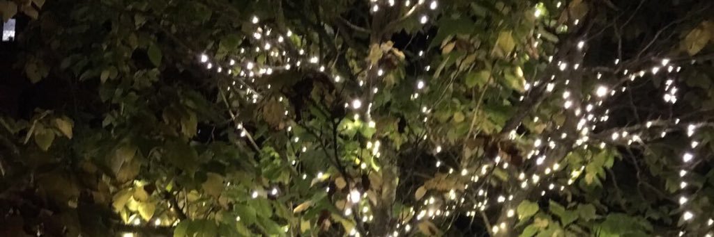 minitash's profile banner image