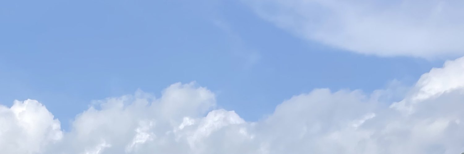 stripedstees's profile banner image