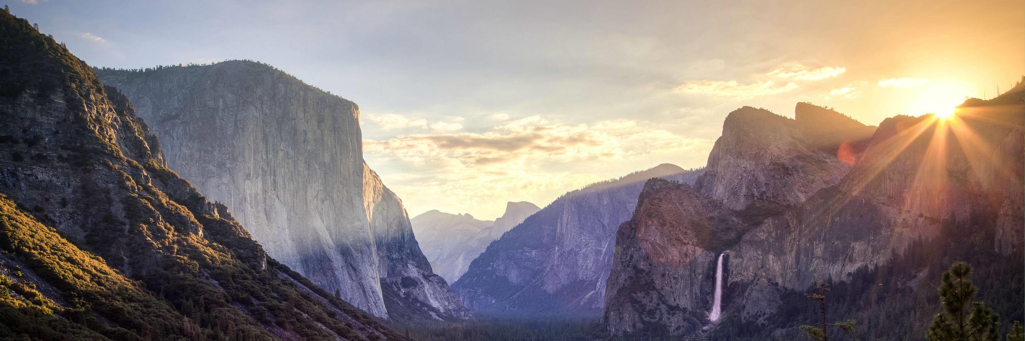 Joni Collinge banner