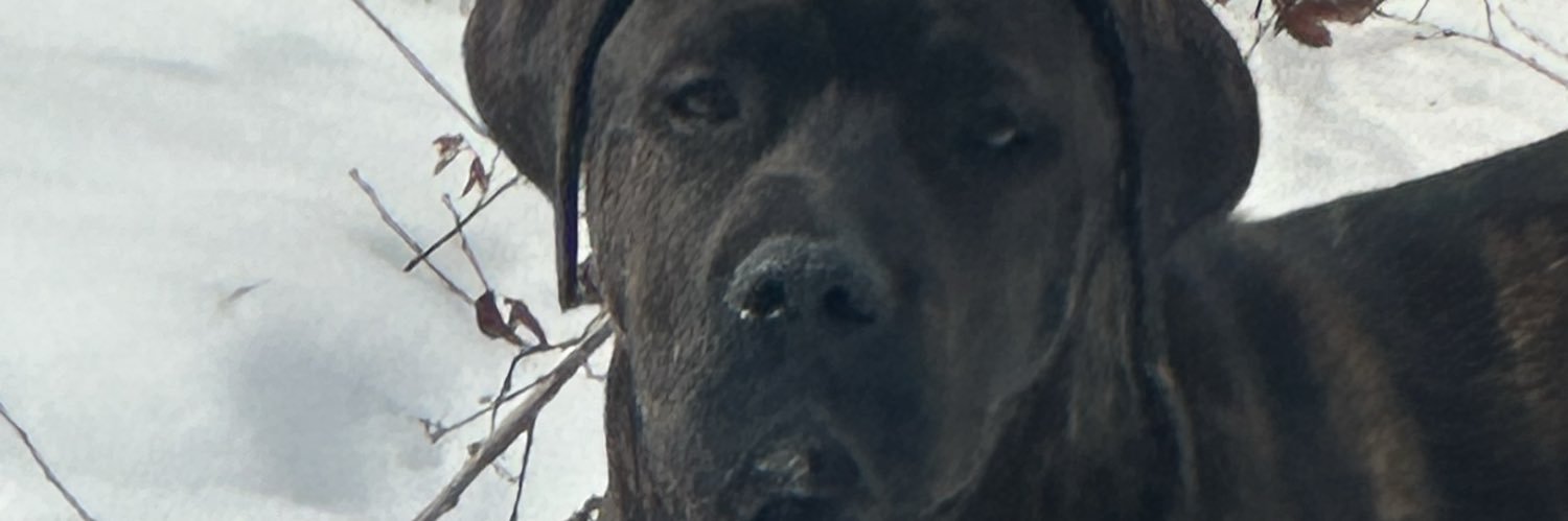 Lookyluke69's profile banner image