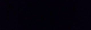 GunTotinHolly's profile banner image