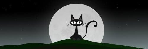 MoonOnCaffeine's profile banner image