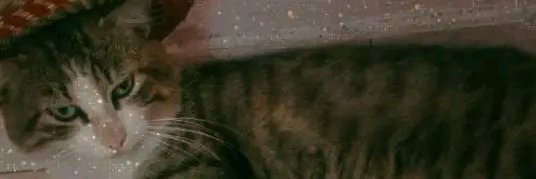 German_Renz's profile banner image