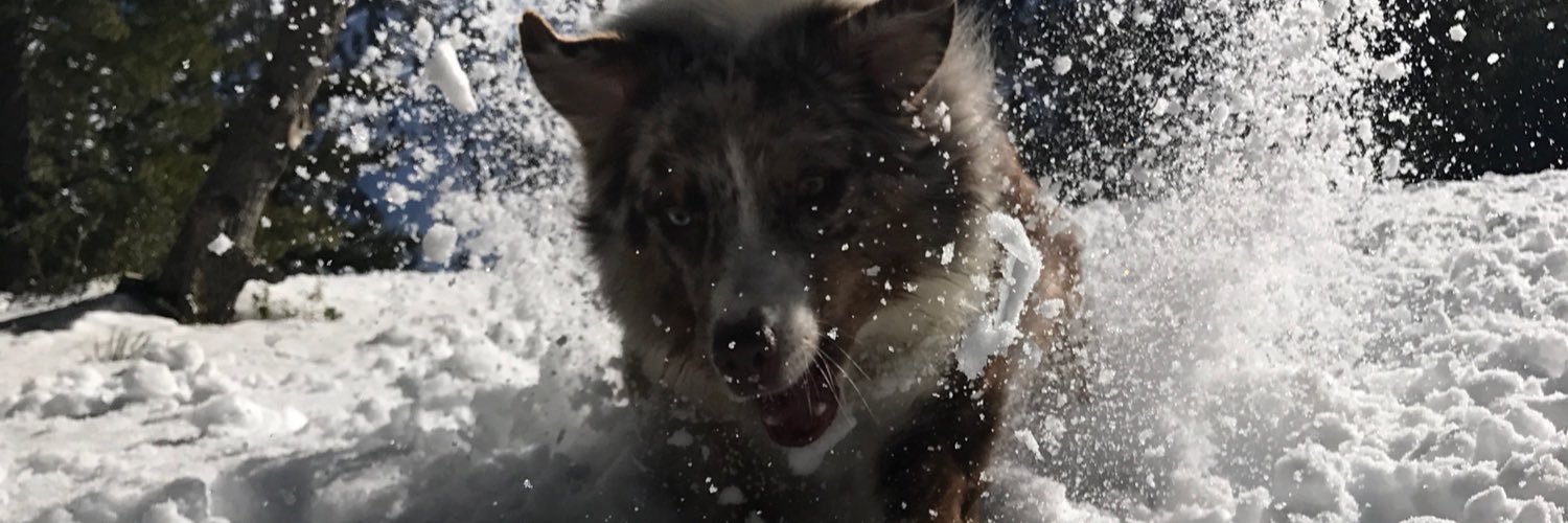 alexanderchristopher banner