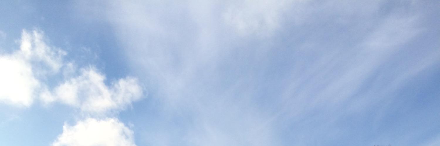Cabellizer's profile banner image