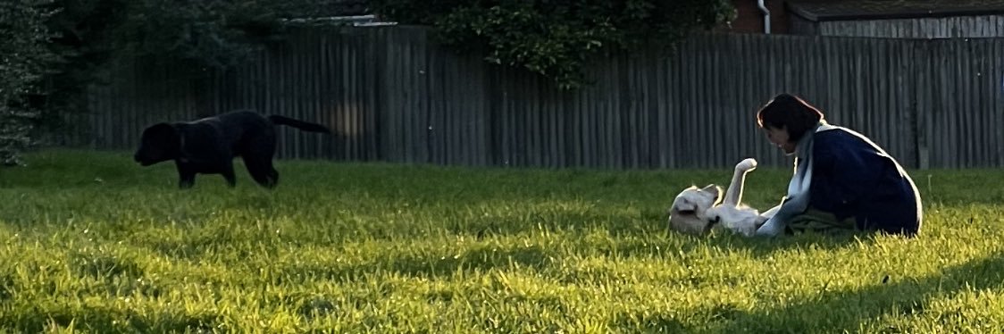 caz_britton's profile banner image
