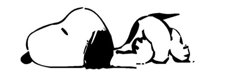 gaga_cv's profile banner image