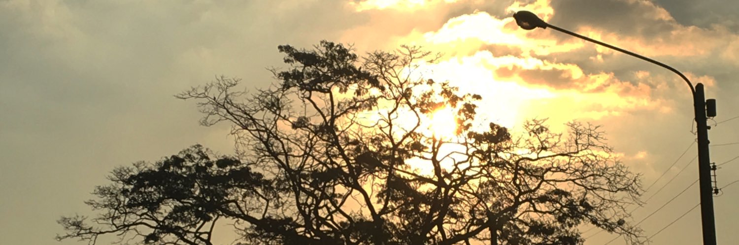arssocia's profile banner image