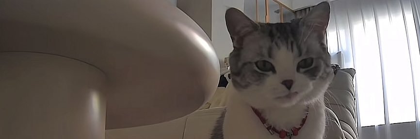 kaikaitanke's profile banner image