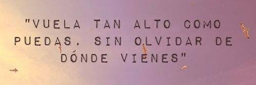 AlmendraDivany's profile banner image