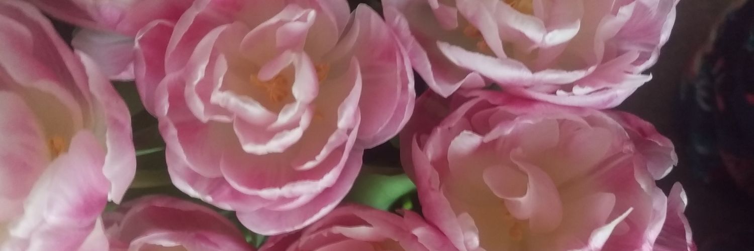 HJmasters's profile banner image