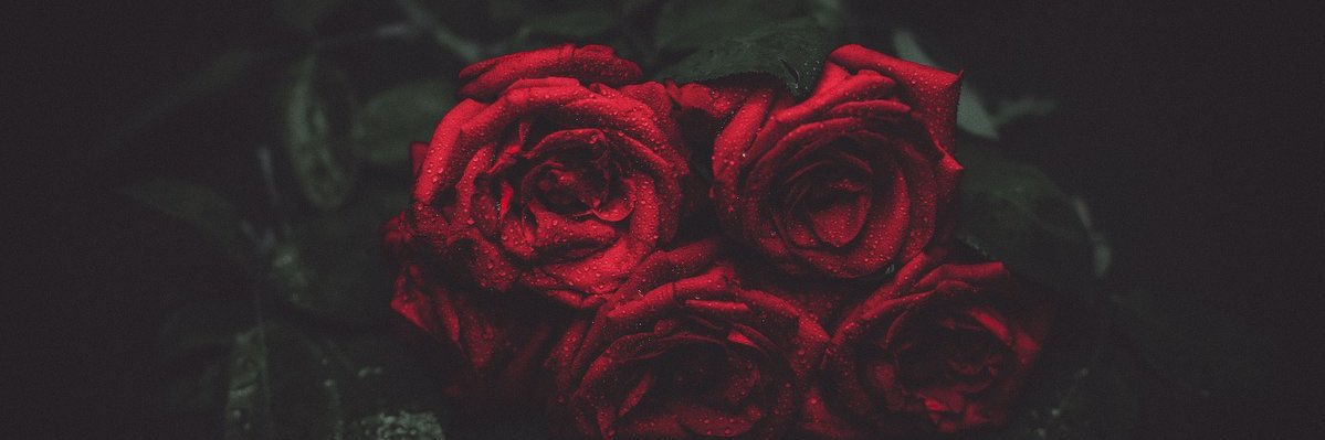 andre_patta's profile banner image