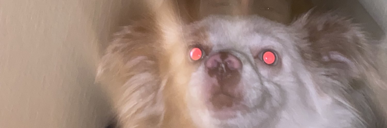 sajley's profile banner image