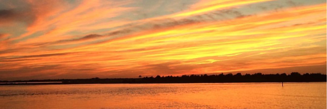 madisonsevery's profile banner image