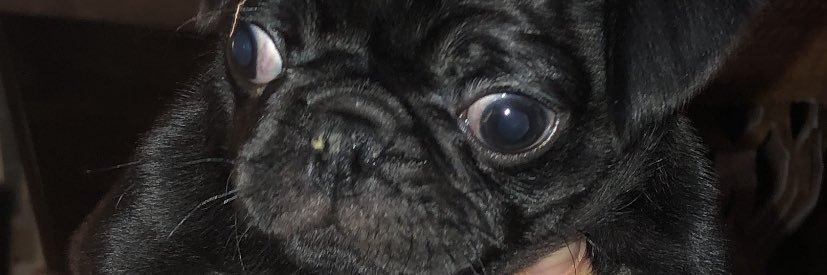 BuiIdTheWaIl's profile banner image