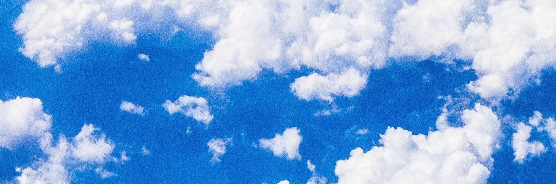 taraalee_'s profile banner image