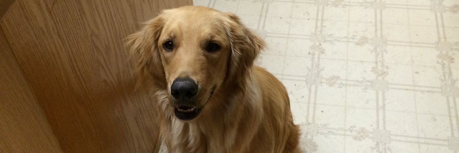 Stuart Bradley banner